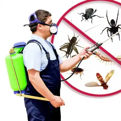 pest control Hernandez